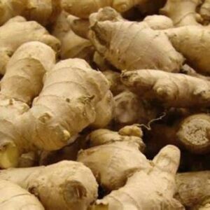 Curcuma de qualité supérieure