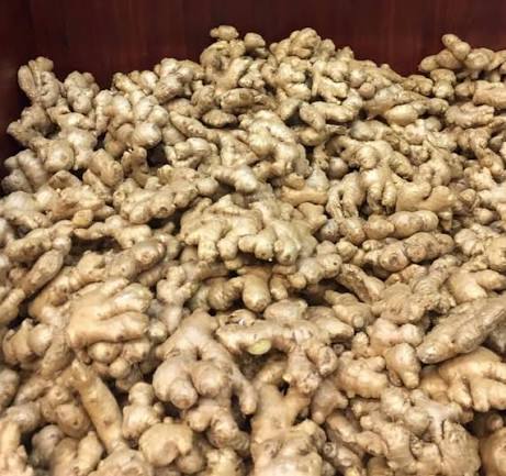 Curcuma de qualité supérieure – Image 2